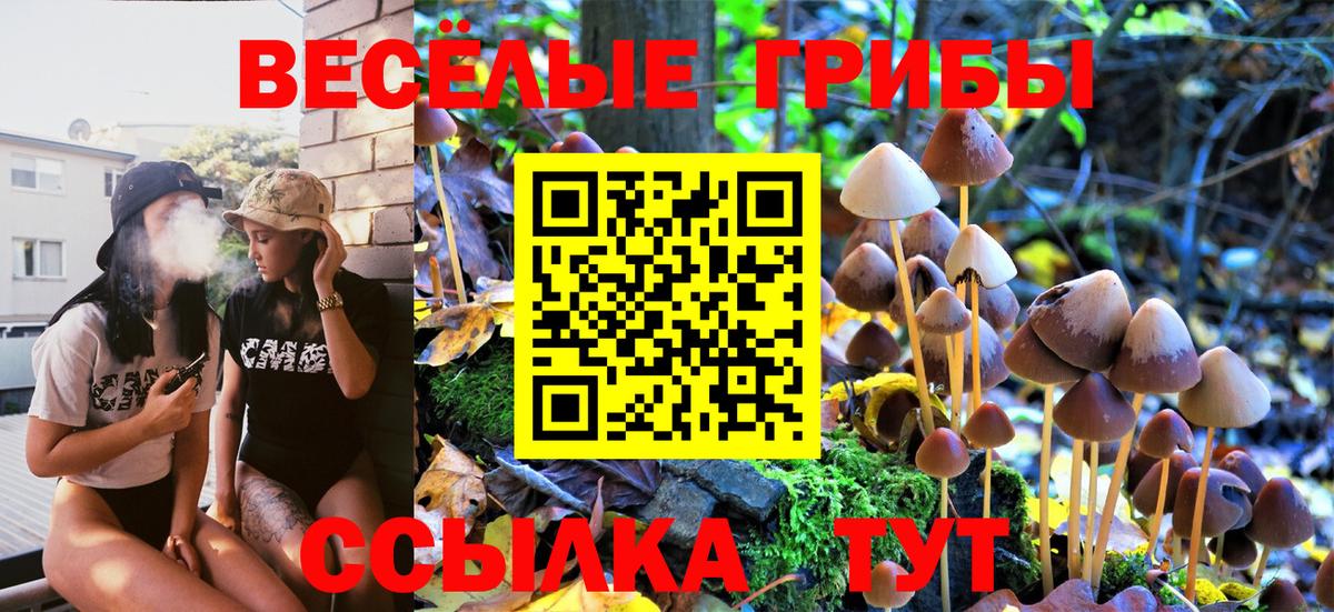 Карасук  Псилоцибиновые грибы GOLDEN TEACHER  Вход с VPN  Псилоцибиновые грибы GOLDEN TEACHER 