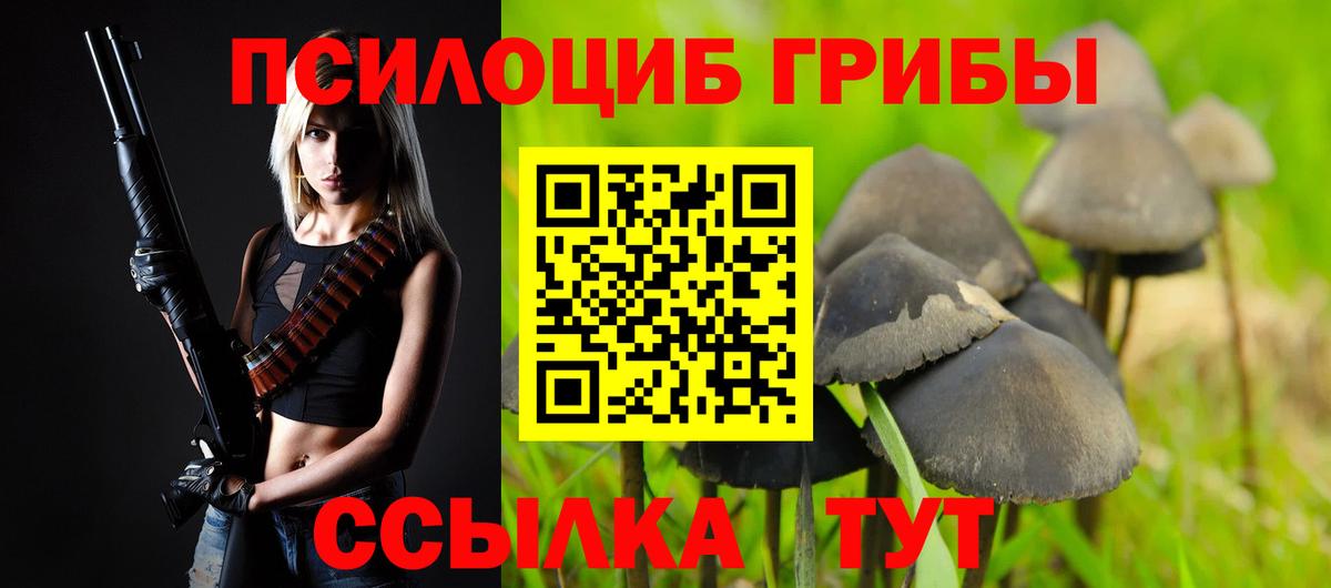 Галлюциногенные грибы Psilocybine cubensis Карасук